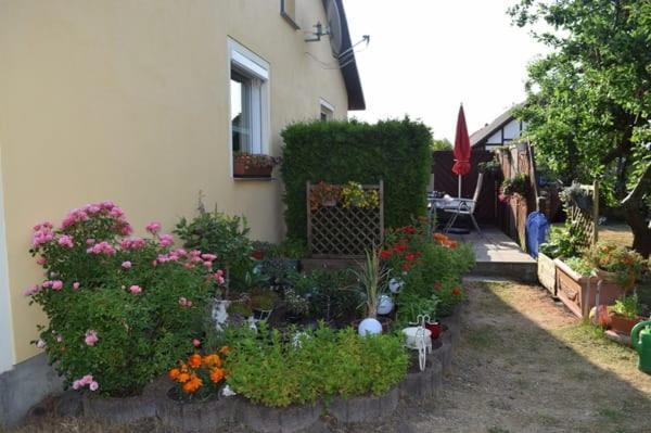 Apartment Am Achterwasser Zempin