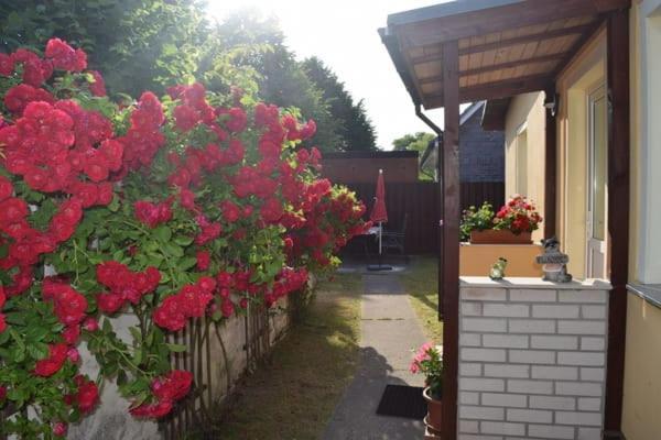Am Achterwasser Apartment Zempin